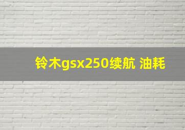 铃木gsx250续航 油耗